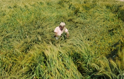  Over 9l Up Farmers Get Compensation For Losses-TeluguStop.com