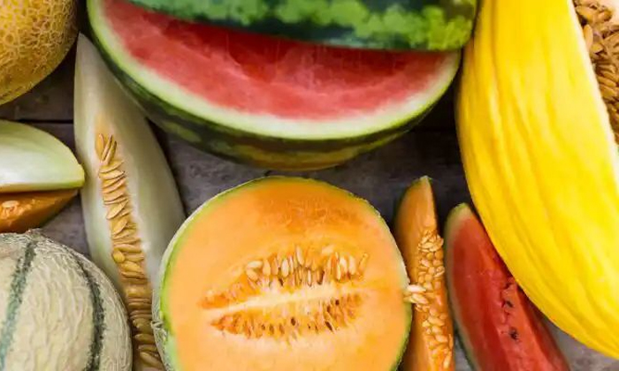  Pests Prevention Methods In Watermelon And Muskmelon Crops Details, Pests Preven-TeluguStop.com