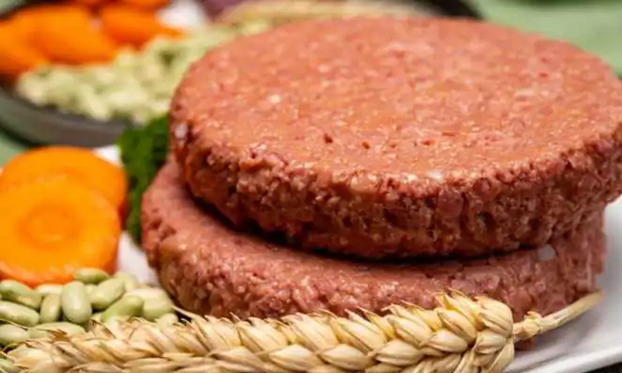  Plant Based Meat Factory Opens In Dubai Details, Dubai, International News, Late-TeluguStop.com