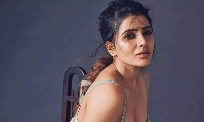  Samantha New South Movie With Pan India Story,samantha,pan India,citadel,lady Or-TeluguStop.com