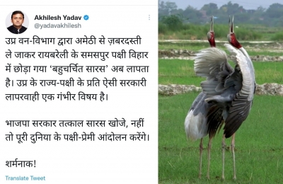  Sarus, Taken Away From Friend, Goes Missing In Up Sanctuary-TeluguStop.com