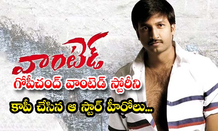 Those Star Heroes Who Copied Gopichand's Wanted Story ,wanted Movie , Gopichand Those Star Heroes Who Copied Gopichand's Wanted Story ,wanted Movie , Gopichand-TeluguStop.com