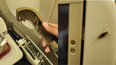  Un Diplomat Complains Of Broken Seats, Cockroaches On Us-delhi Air India Flight-TeluguStop.com