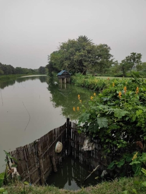  Water, Livelihoods Dry Up For Fish Farmers Of East Kolkata Wetlands-TeluguStop.com