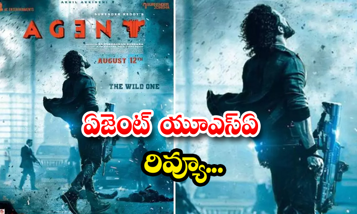  Agent Usa Review , Akhil Akkineni , Usa Review, Agent, Surender Reddy, Mammootty-TeluguStop.com