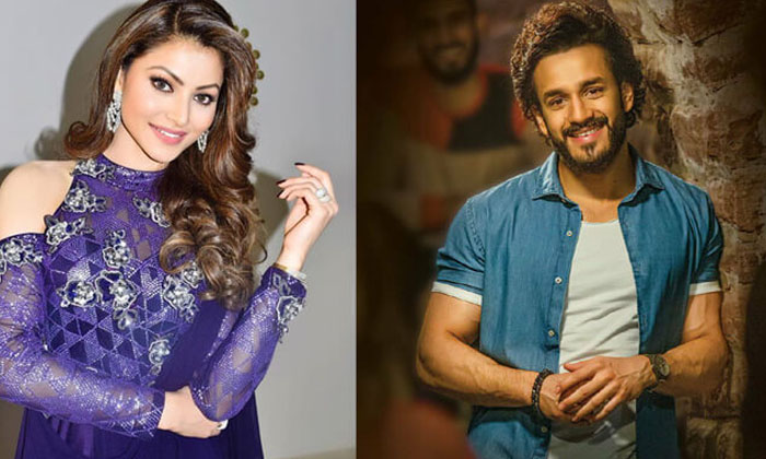 Agent Item Song Direct Theator Release , Agent , Item Song , Urvashi Rautela ,w Agent Item Song Direct Theator Release , Agent , Item Song , Urvashi Rautela ,w-TeluguStop.com