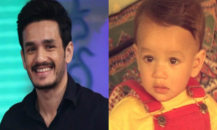 Telugu Akhil Akkineni, Akkineni, Nagarjuna, Sisindri, Surender Reddy, Tollywood-