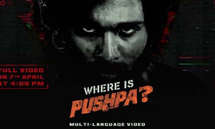  Allu Arjun Pushpa 2 Announcement Glimpse, Pushpa 2 Glimpse, Allu Arjun, Pushpa 2-TeluguStop.com