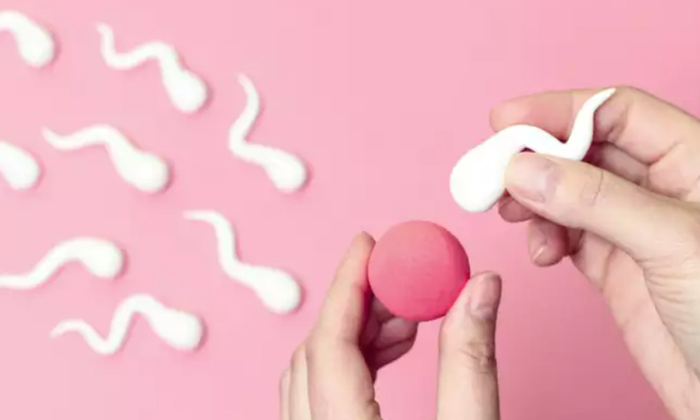  Are You Suffering From Sperm Count Problem If You Do This, This Problem Will Go-TeluguStop.com
