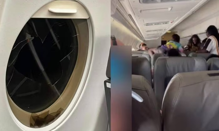  Australia Flight Passengers Fight , Quinn Lands, Australia , Passengers, Passeng-TeluguStop.com