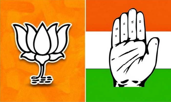 Telugu Congress, Karnataka, Karnataka Start-Politics