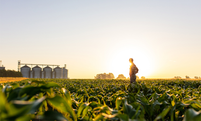 Canada Needs 30000 New Immigrants In Agri Sector Details, Canada ,30000 New Immi-TeluguStop.com