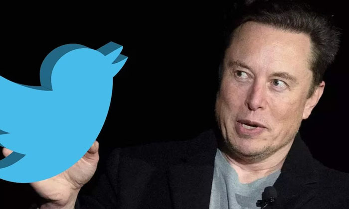  Elon Musk Earns Around Rs 81 Lakh Per Month From Twitter Subscribers , Elon M-TeluguStop.com