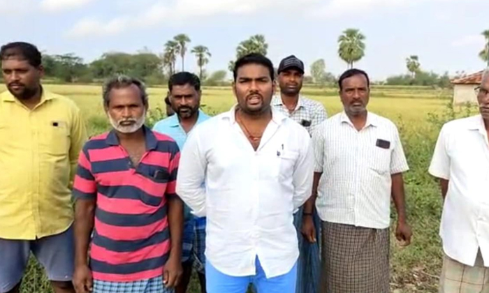  Farmers In Vattemla Village Suffered Severe Losses Due To The Rain Last Night De-TeluguStop.com