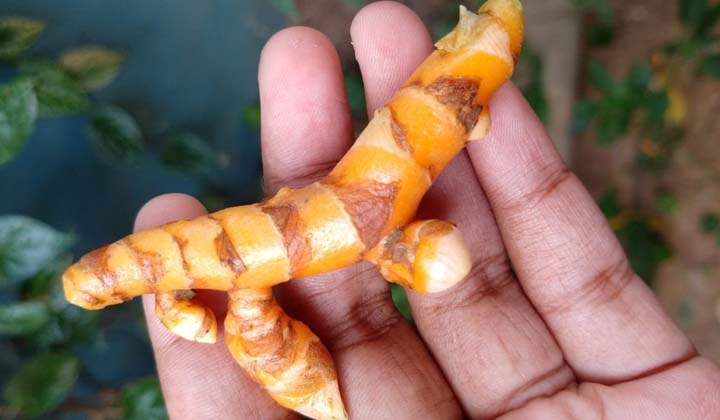 Telugu Detox, Tips, Latest-Telugu Health