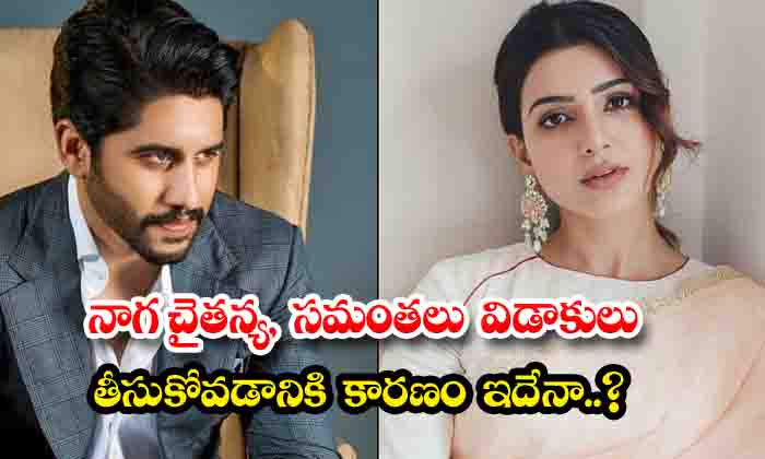  Is This The Reason For Naga Chaitanya And Samantha's Divorce , Naga Chaitanya,-TeluguStop.com