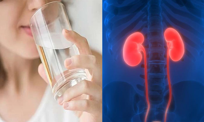 Telugu Electrolytes, Tips, Kidney Problems, Lungs, Effects-Telugu Health