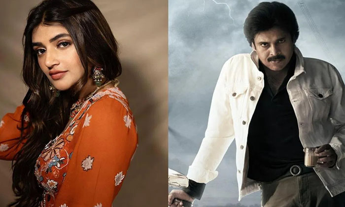  Sreeleela Movie Offers List, Sreeleela, Tollywood, Mahesh Babu, Harish Shankar-TeluguStop.com