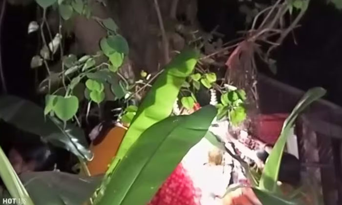 Telugu Banyan Tree, Memari, Purba Bardhaman, Ceremony-Latest News - Telugu