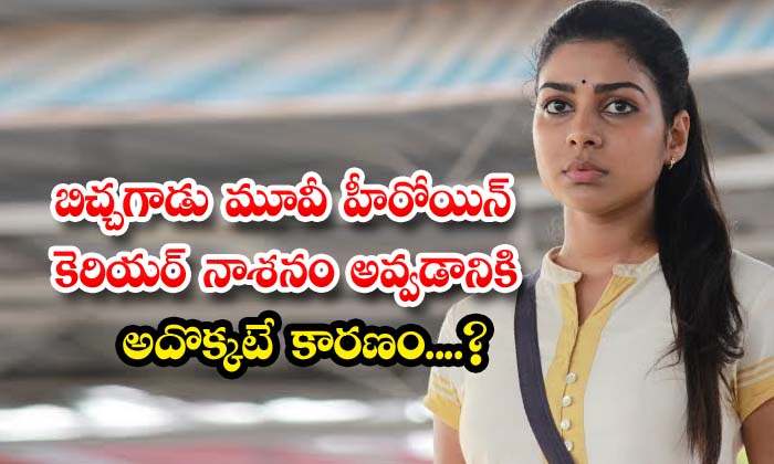  Is That The Only Reason Why The Career Of Bichagadu Movie Heroine Is Ruined ,bic-TeluguStop.com