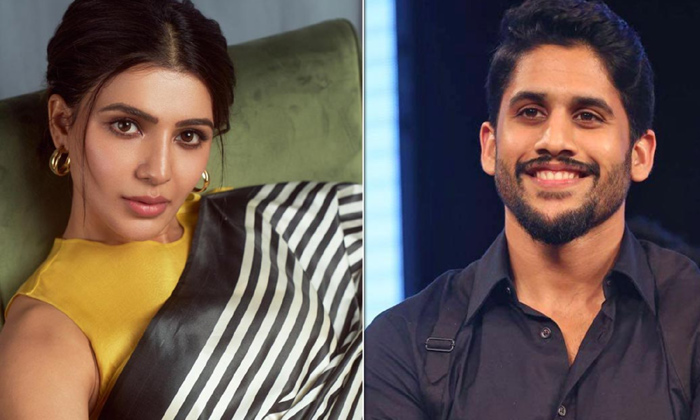  Differences Between Chaitanya And Samantha Details Here Goes Viral In Social Me-TeluguStop.com
