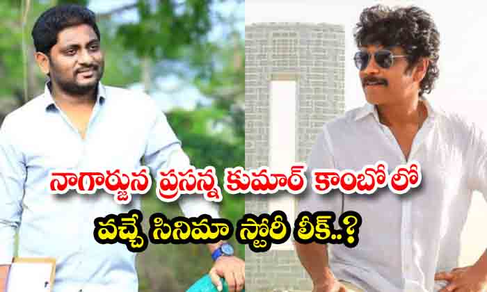  Nagarjuna Prasanna Kumar Combo Movie Story Leak, Nagarjuna, Prasanna Kumar, B-TeluguStop.com