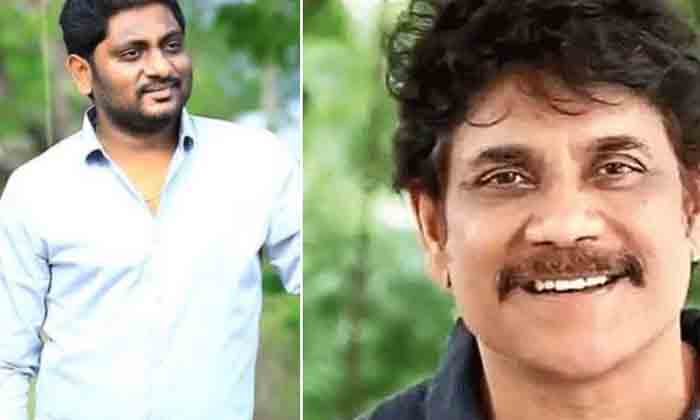  Nagarjuna Prasanna Kumar Combo Movie Story Leak, Nagarjuna, Prasanna Kumar, B-TeluguStop.com