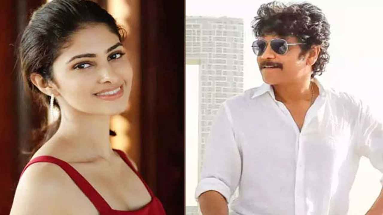  Nagarjuna To Pair Up With Young Manasa Varanasi!-TeluguStop.com