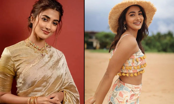  Pooja Hegde Special Attaction With Photoshoot , Pooja Hegde , Photoshoot , Sri L-TeluguStop.com