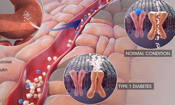 Telugu Antibioticgut, Detaila, Discovered, Effects-Latest News - Telugu