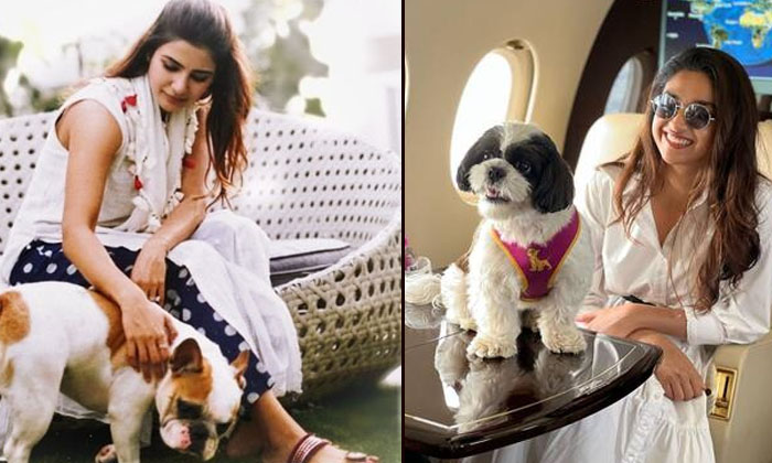  Tollywood Stars With Their Pets-TeluguStop.com