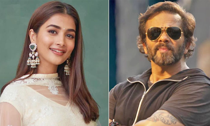 Telugu Actresspooja, Bollywood, Cirkus, Cirkus Flop, Kisika, Pooja Hegde, Rohit