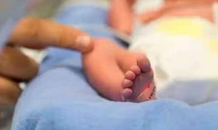  Mother Killed Her Newborn Baby Crime News , What Actually Happened..? , Baby,-TeluguStop.com