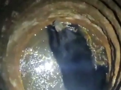 Bear Falls Into Well In Thiruvananthapuram, Rescue Efforts Underway Bear Falls Into Well In Thiruvananthapuram, Rescue Efforts Underway-TeluguStop.com
