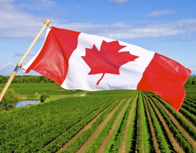  Canada Needs 30,000 New Immigrants In Agri Sector: Report-TeluguStop.com