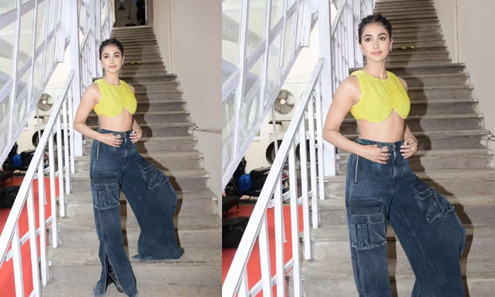  Cant Find Pants In Your Size Pooja Pooja Hegde Dress Huge Trolls, Pooja Hedge, M-TeluguStop.com