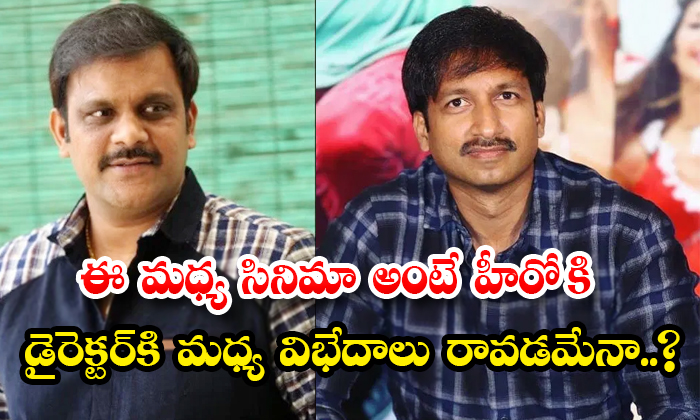  Differences Between Hero Gopichand And Director Sriwass Ramabanam Movie Details,-TeluguStop.com