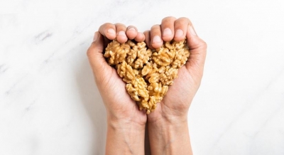  Eating Handful Of Walnuts Daily May Boost Attention Among Adolescents-TeluguStop.com