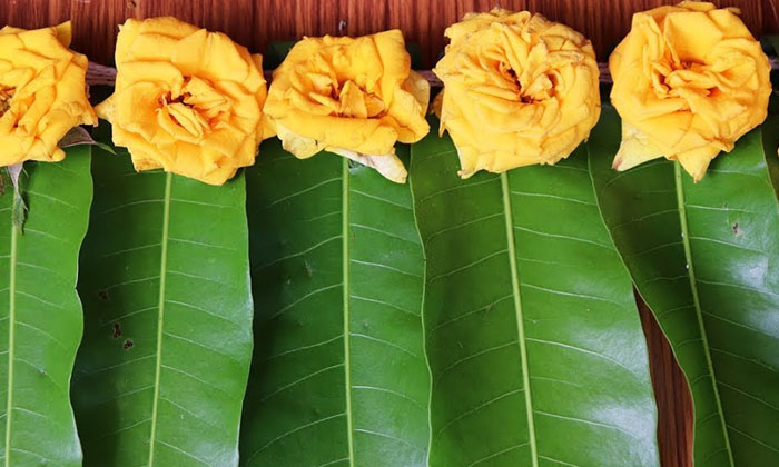  Do You Know Why Mango Leaves Are Washed At Home During Festivals , Festivals ,-TeluguStop.com