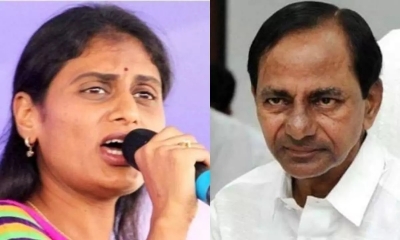 In Fight Against Kcr, Sharmila Reaches Out To Bjp, Cong Leaders-TeluguStop.com