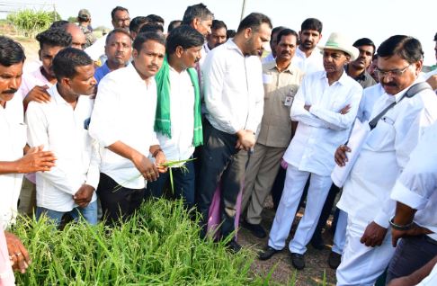  Kcr Government Support To Farmers Who Lost Due To Untimely Rains-TeluguStop.com