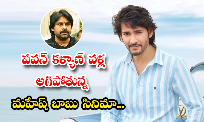  Mahesh Babu Trivikram Movie Shooting Break Due To Pawan Kalyan Details, Mahesh B-TeluguStop.com