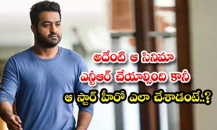  Thats What Ntr Should Have Done In That Movie But How Did That Star Hero Do It-TeluguStop.com