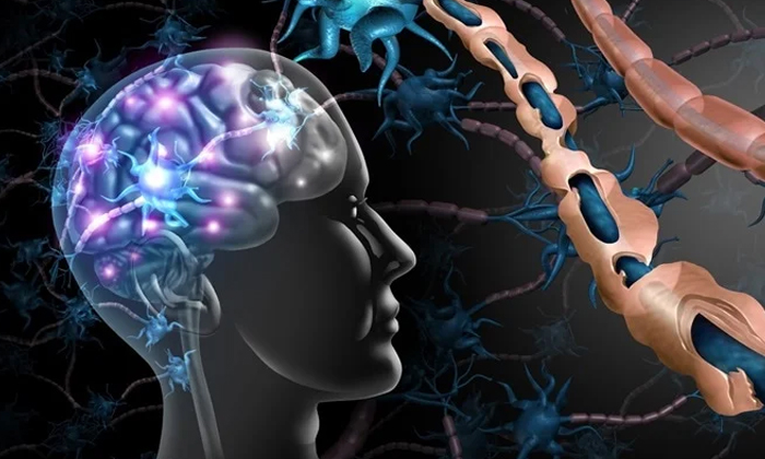 Telugu Manish Sisodia, Sclerosis, Seema Sisodia, Symptoms, Vertigo Sexual-Latest Telugu Manish Sisodia, Sclerosis, Seema Sisodia, Symptoms, Vertigo Sexual-Latest