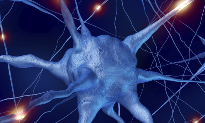 Multiple Sclerosis Disease Symptoms , Sclerosis, Symptoms, Multiple Sclerosis, M Multiple Sclerosis Disease Symptoms , Sclerosis, Symptoms, Multiple Sclerosis, M-TeluguStop.com