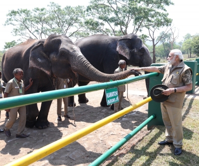  Pm Modi Visits Theppakadu Elephant Camp, Interacts With Bomman And Bellie-TeluguStop.com