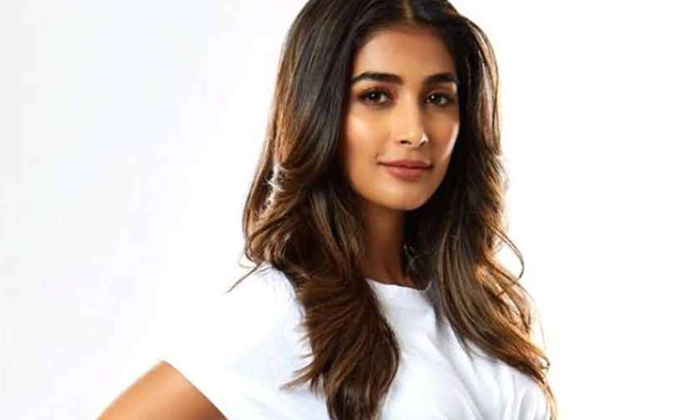 Telugu Acharya, Beast, Bollywood, Kisika, Lady, Pooja Hegde, Radhe Shyam, Tollyw