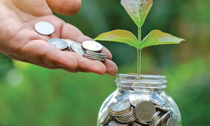 Telugu Deposit, India, Indian Citizen, Ppf Scheme, Ppf, Private Banks, Public Ba