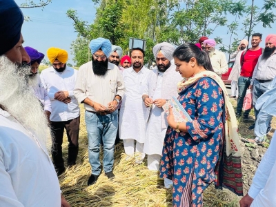  Punjab Cm Asks Mlas To Expedite Wheat Crop Loss Relief-TeluguStop.com