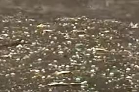  Heavy Rain In Hyderabad-TeluguStop.com